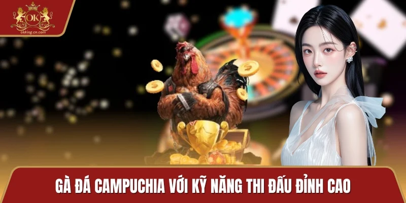 Gà đá Campuchia với kỹ năng thi đấu đỉnh cao