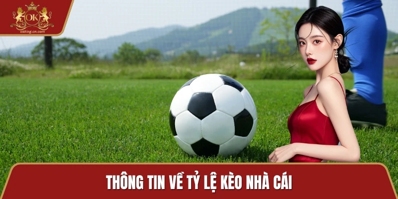 Thông tin về tỷ lệ kèo nhà cái